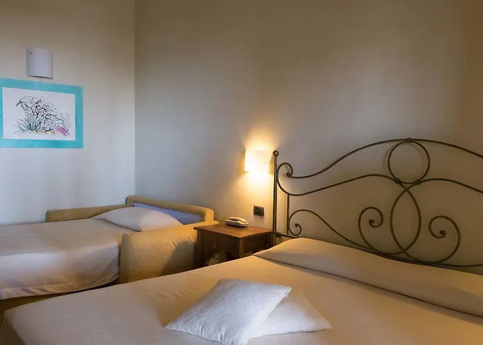 アクティ リーパリ